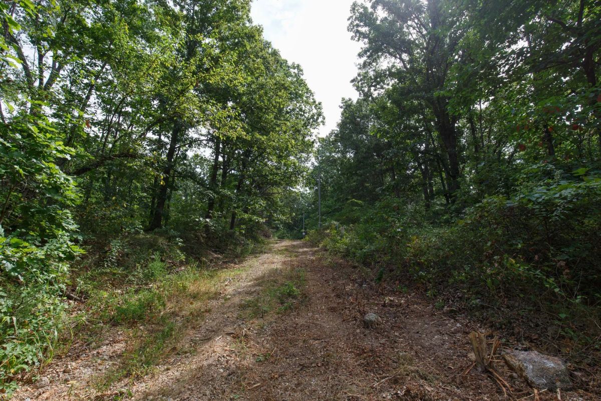 Decorative background for Spring Lake Plat 2 Tract 11 image 6