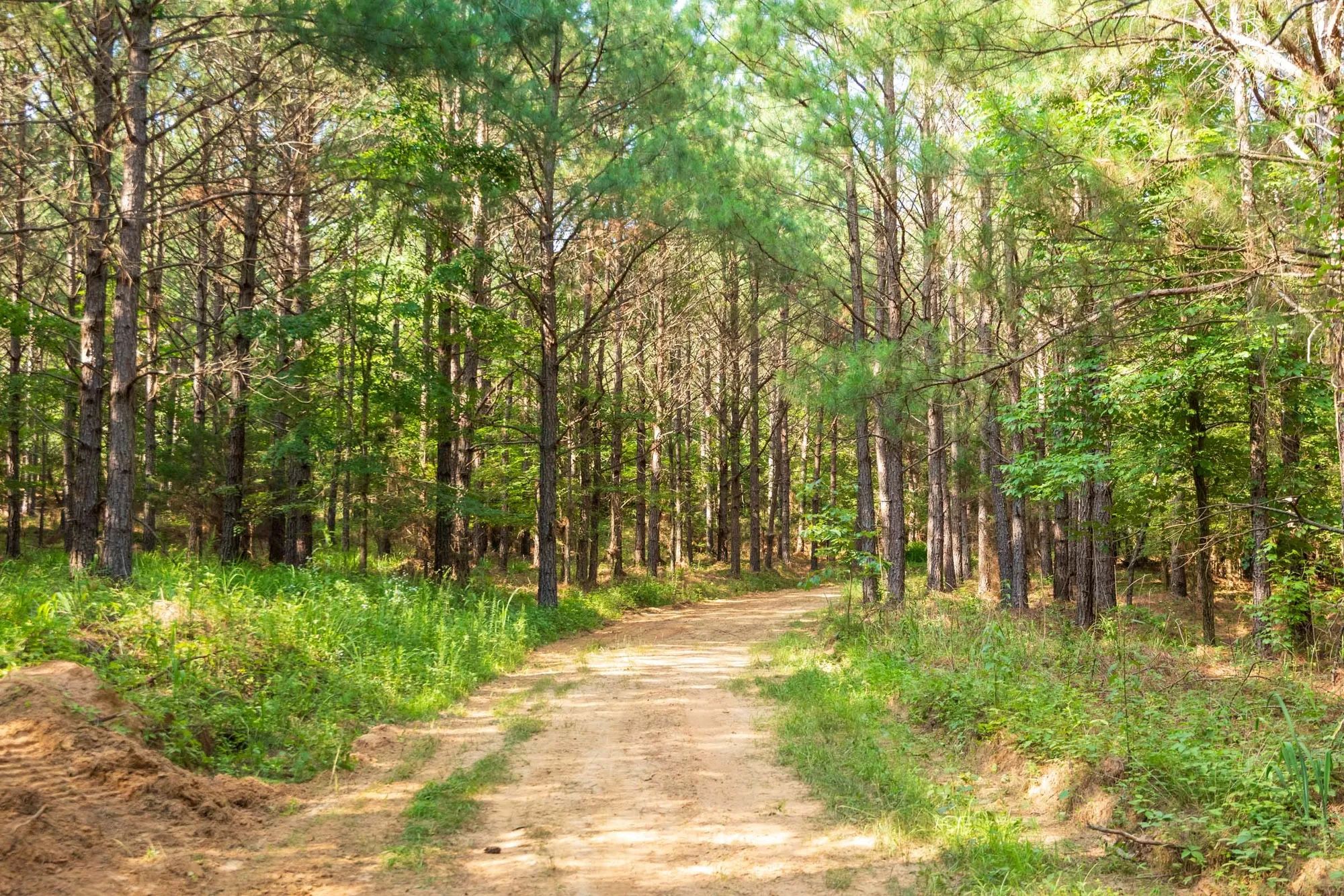 Whiskey Ridge Tract 57