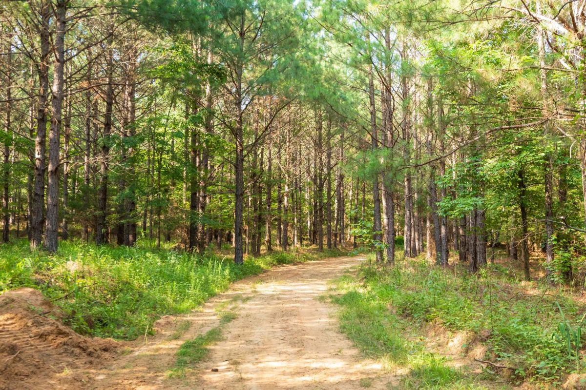 Whiskey Ridge Tract 57 - Main image