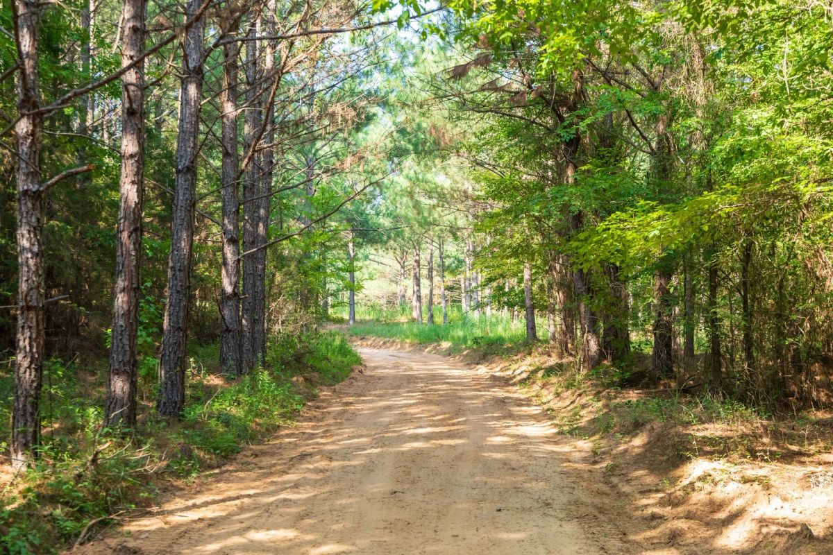 Whiskey Ridge Tract 57 - Image 3