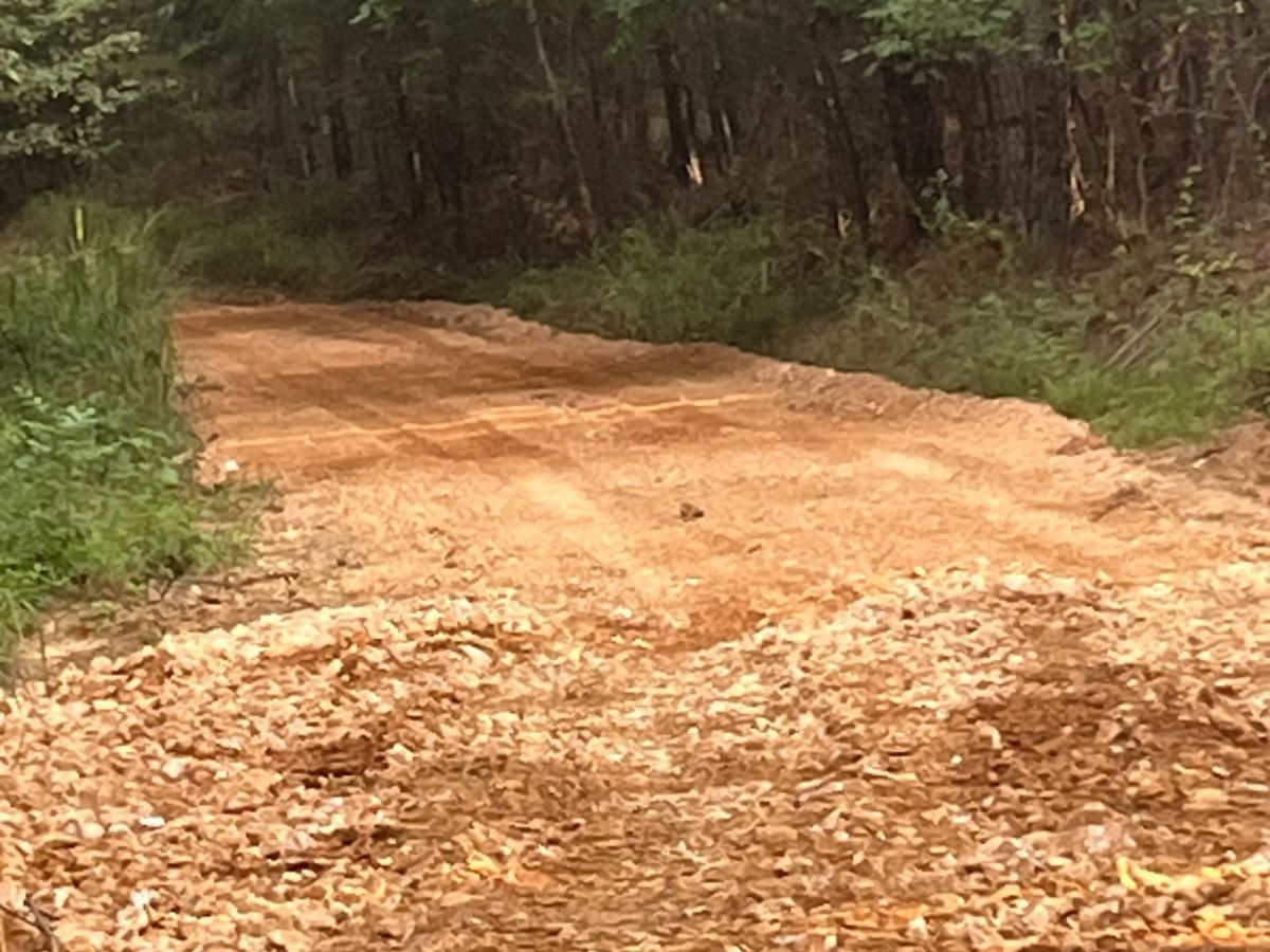 Decorative background for Whiskey Ridge Tract 57 image 8