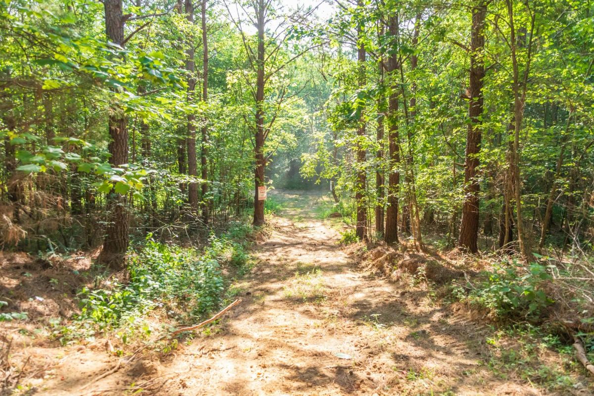 Decorative background for Whiskey Ridge Tract 57 image 11