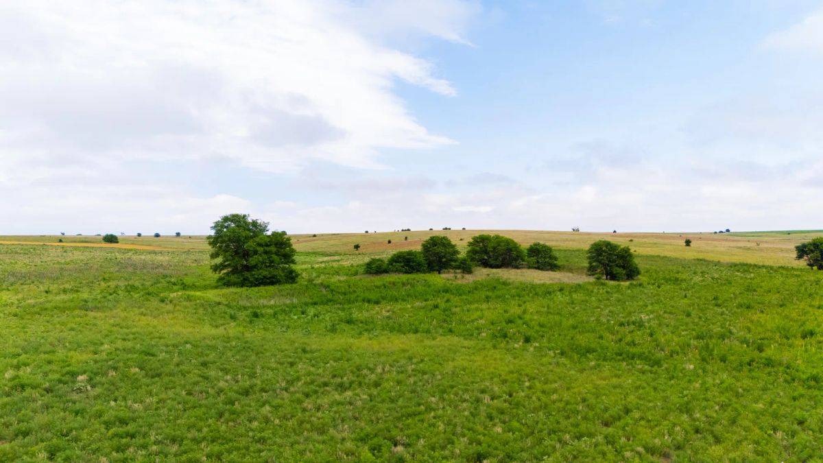 Crandall's Corner Tract 14 - Main image