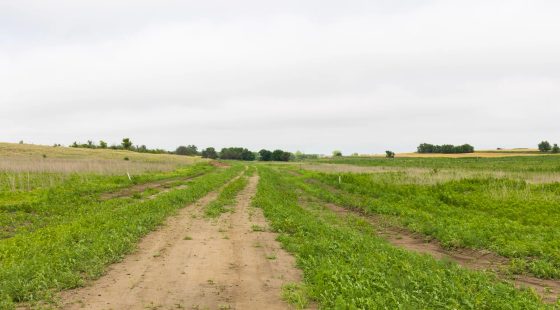Crandall's Corner Tract 14 in Graham County, KS