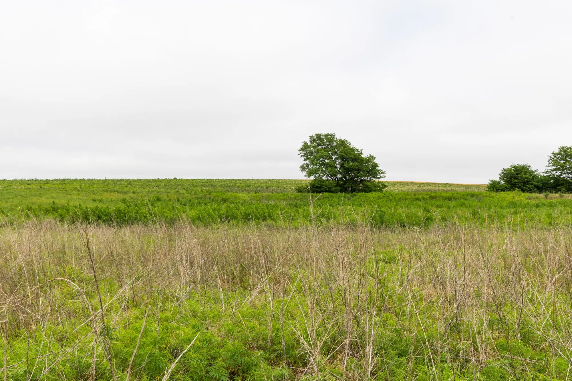 Crandall's Corner Tract 14 in Graham County, KS