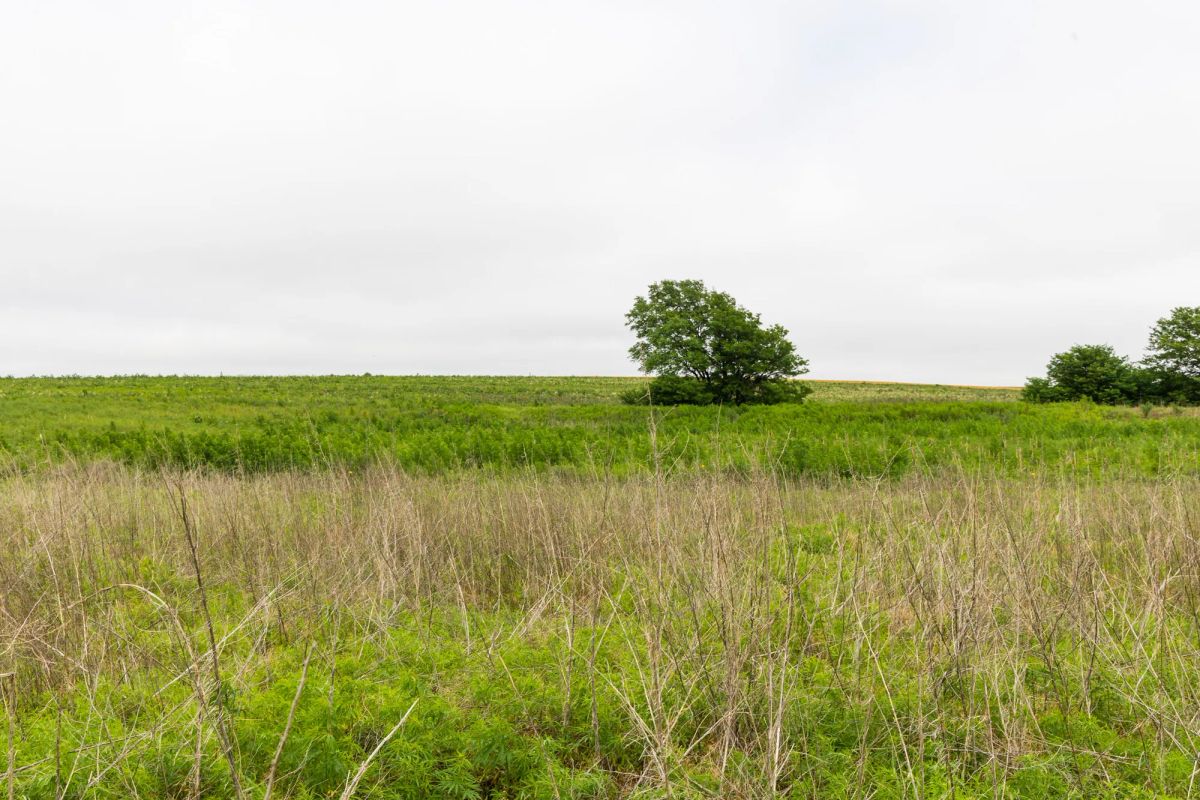 Crandall's Corner Tract 14 - Image 3