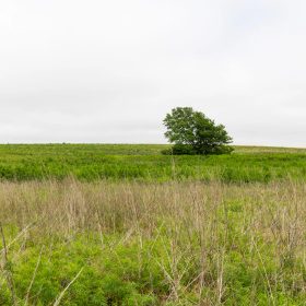 Crandall's Corner Tract 14 in Graham County, KS