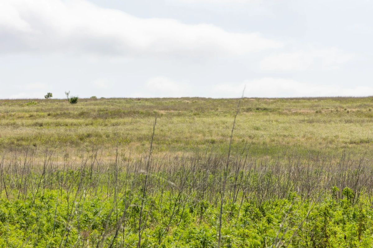 Crandall's Corner Tract 11 - Image 3