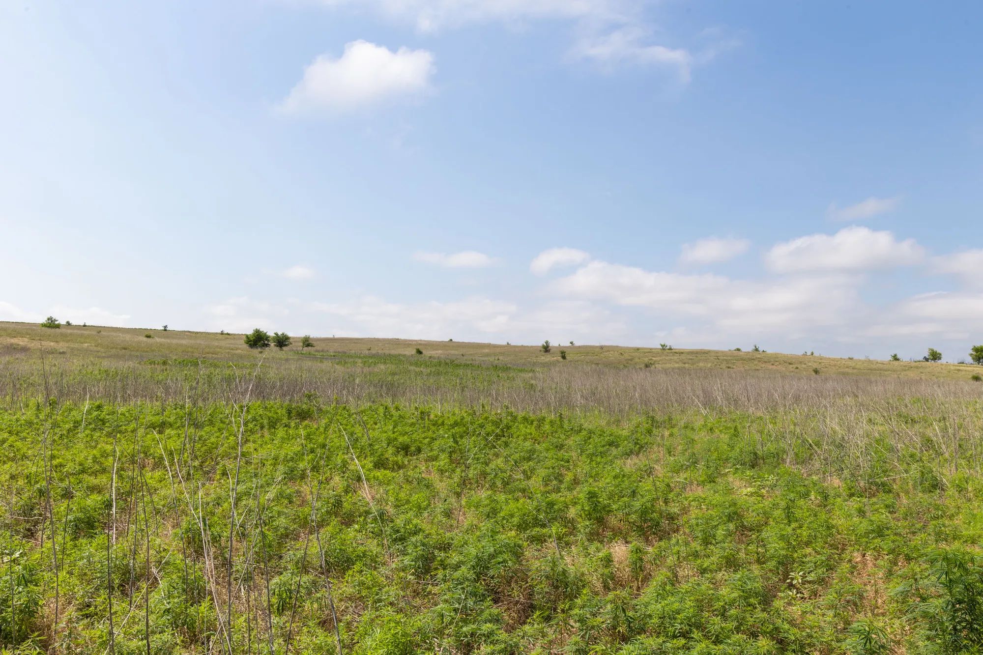 Crandall's Corner Tract 11 in Graham County, KS