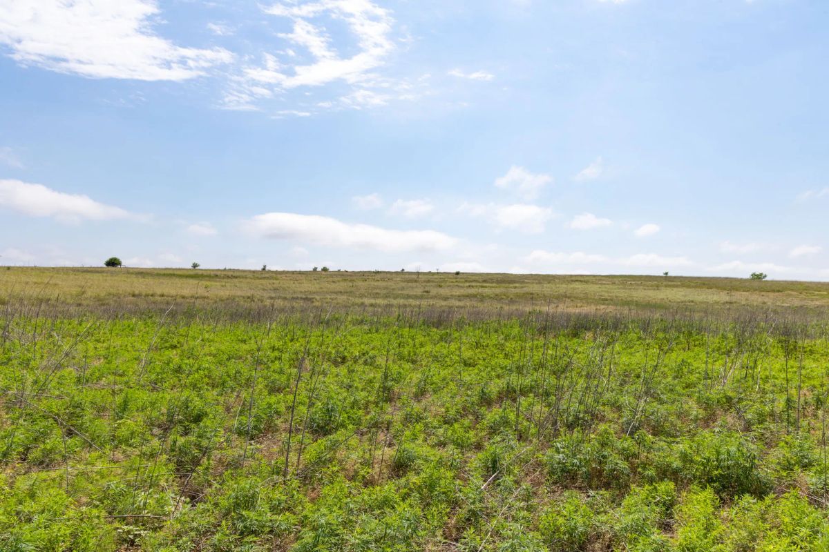 Decorative background for Crandall's Corner Tract 11 image 6