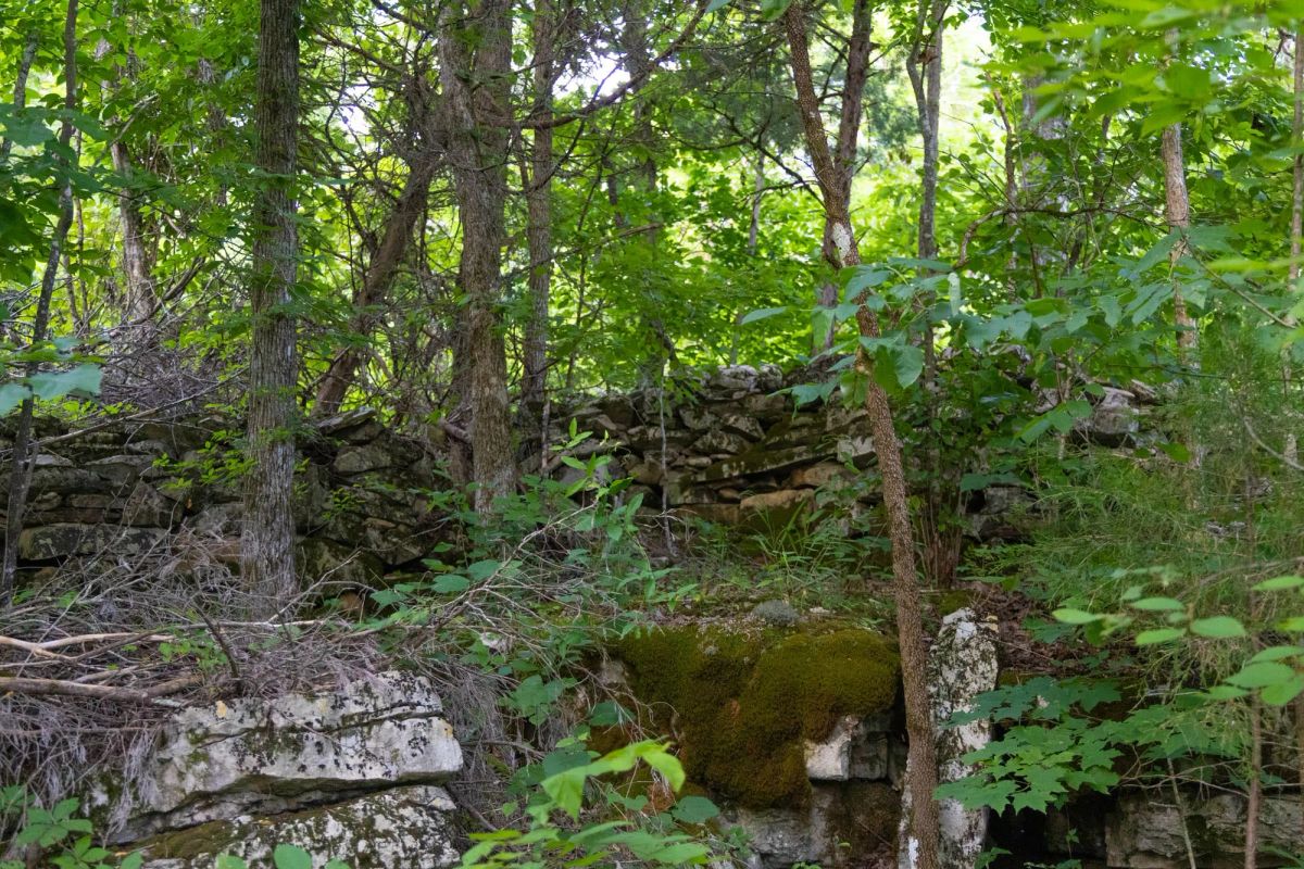 Decorative background for Poppy’s Point Tract 5 image 9