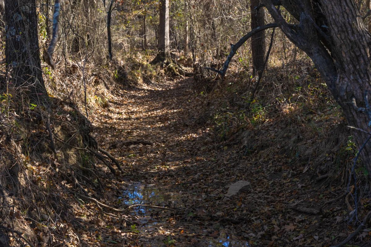 Harmony Hills Tract 42 - Image 2