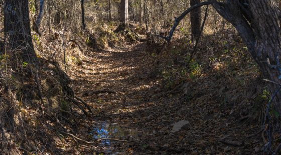 Harmony Hills Tract 42 in Pittsburg County, OK