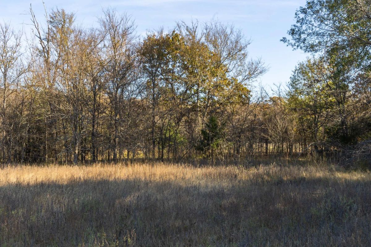 Harmony Hills Tract 42 - Image 4