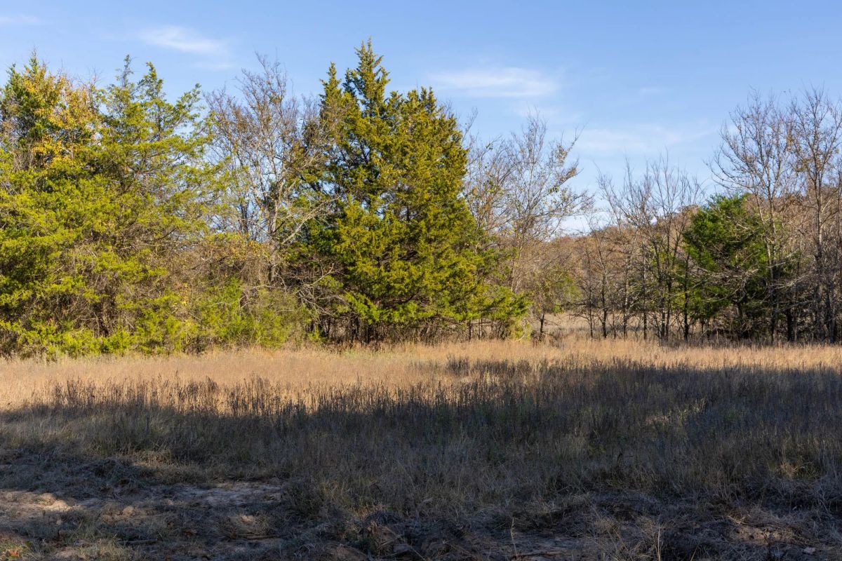 Decorative background for Harmony Hills Tract 42 image 5