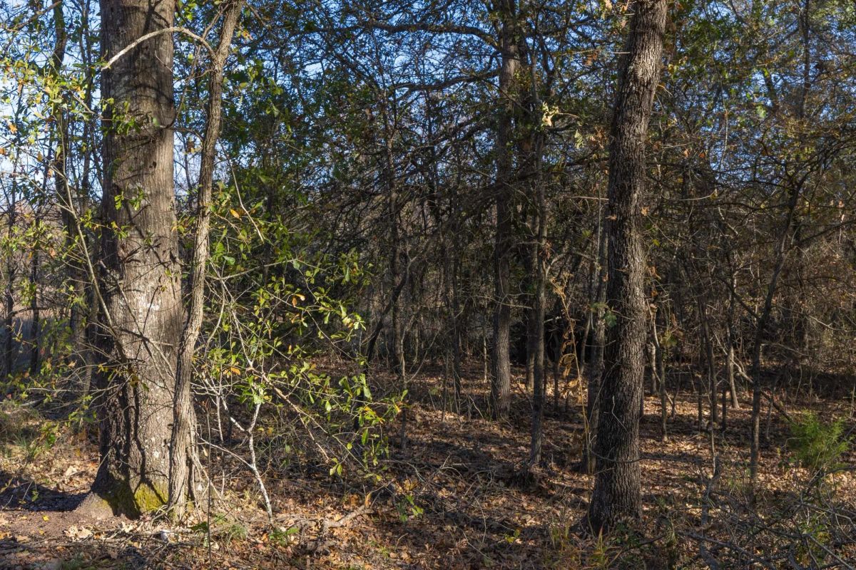 Decorative background for Harmony Hills Tract 42 image 6