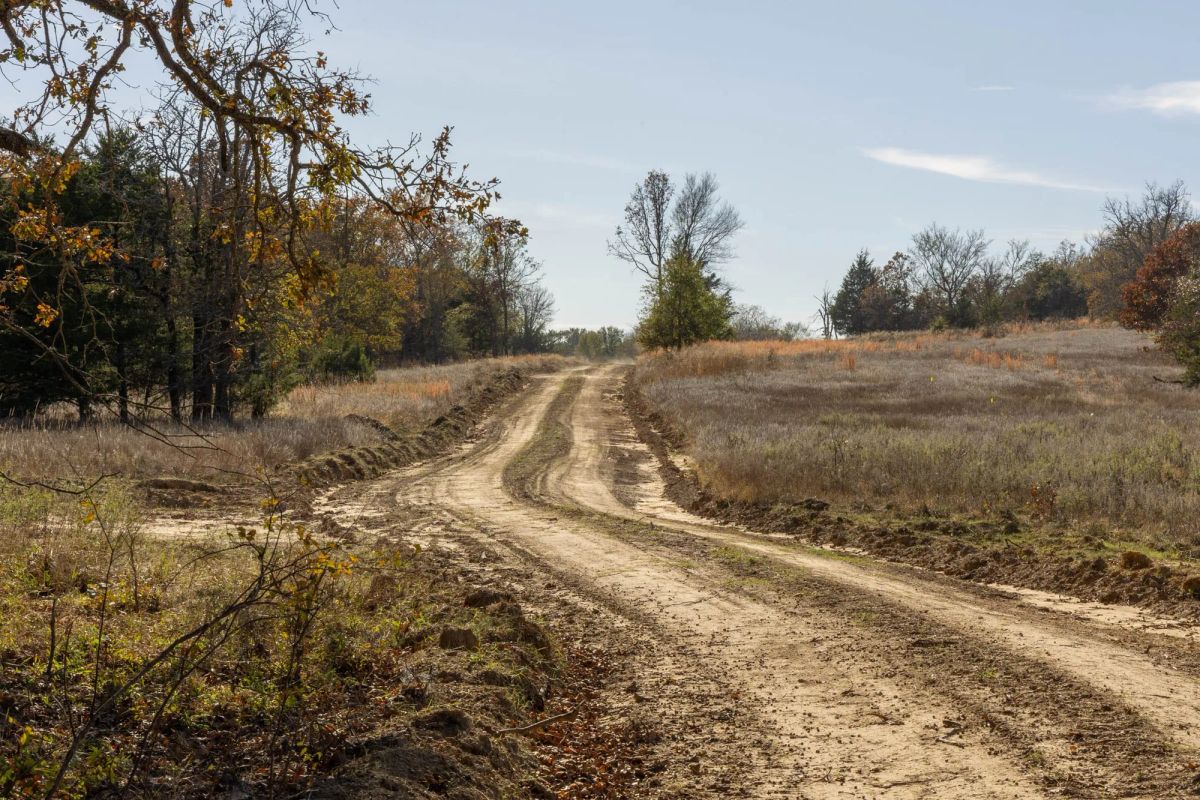 Decorative background for Harmony Hills Tract 42 image 7