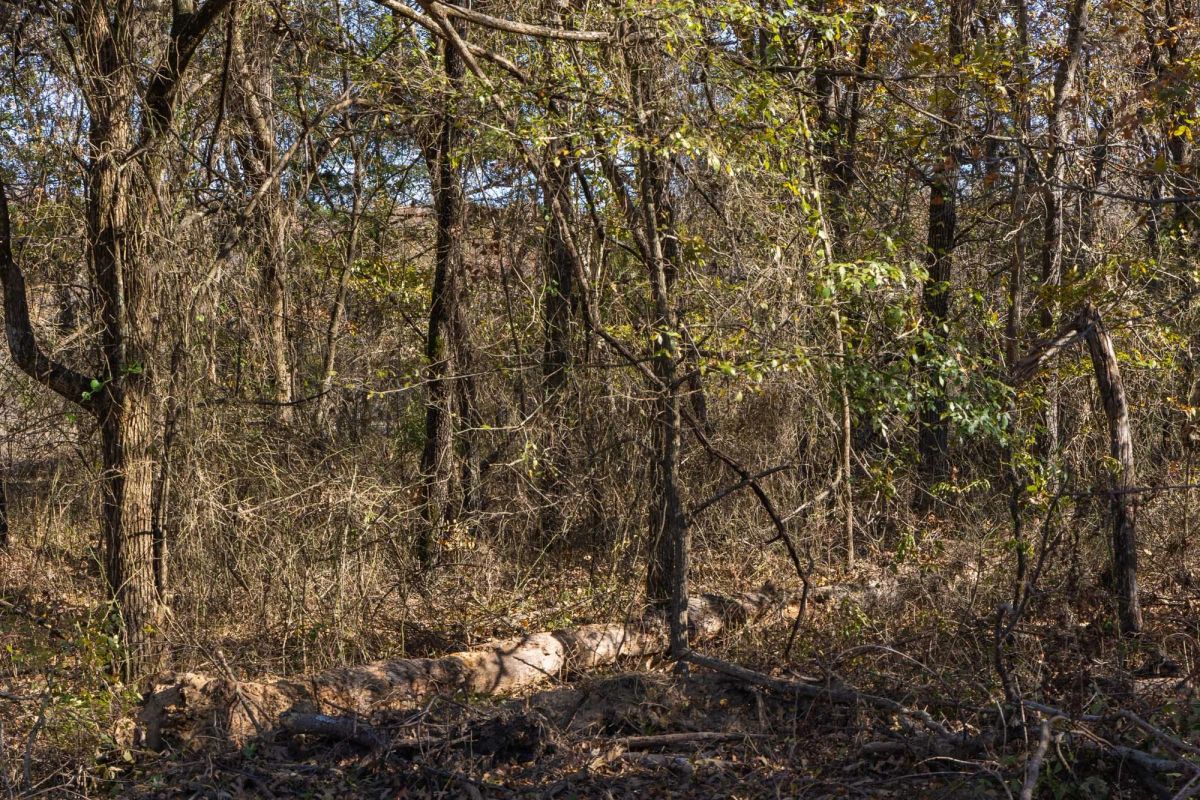 Decorative background for Harmony Hills Tract 42 image 8