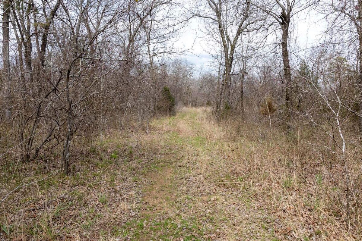 Stone Bridge Phase III Tract 159 - Image 2