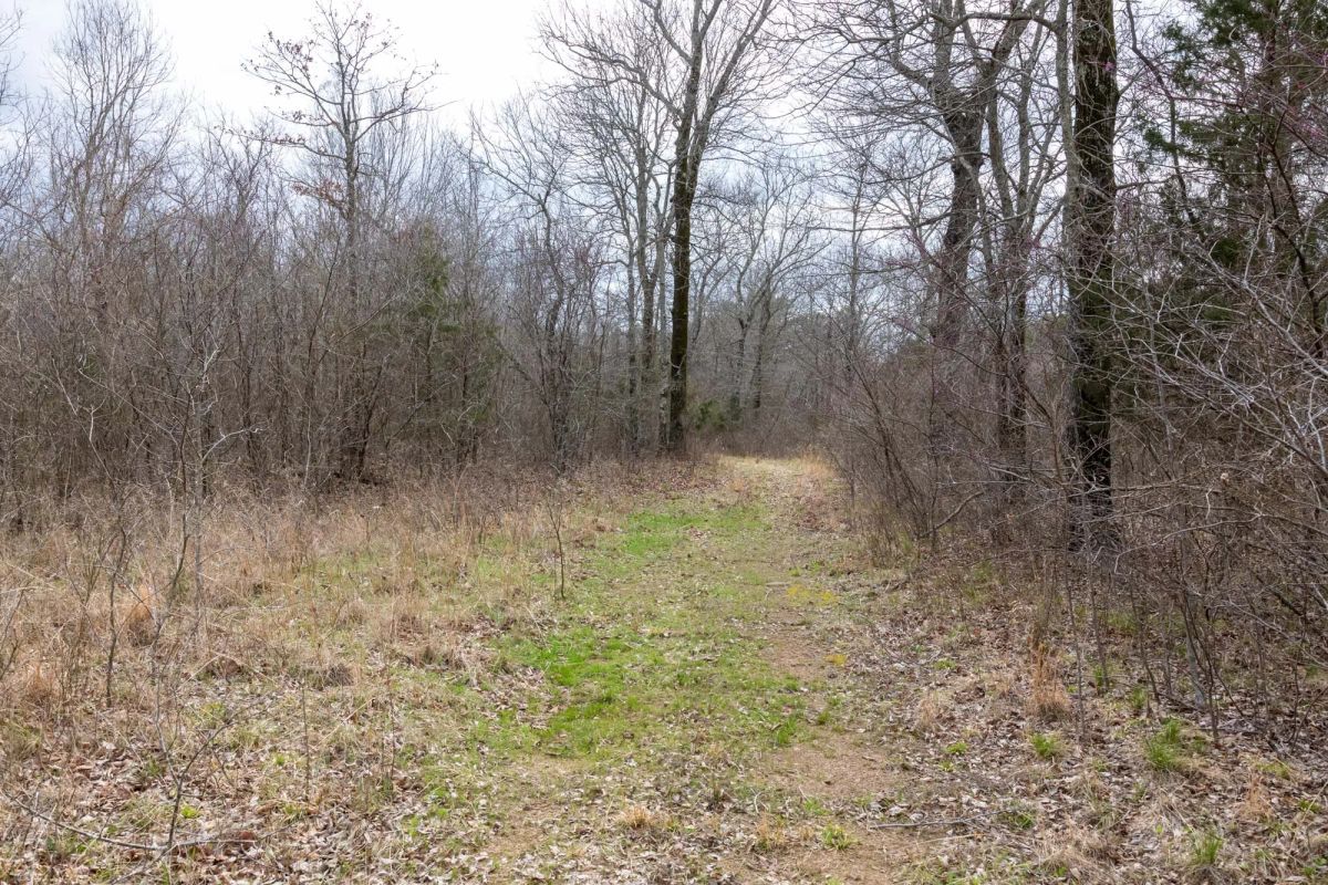 Decorative background for Stone Bridge Phase III Tract 159 image 6