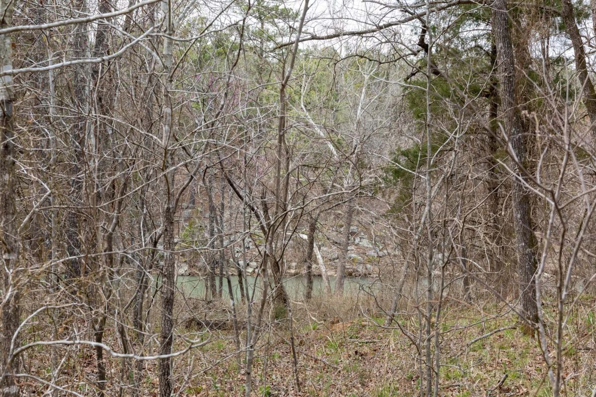 Decorative background for Stone Bridge Phase III Tract 159 image 7
