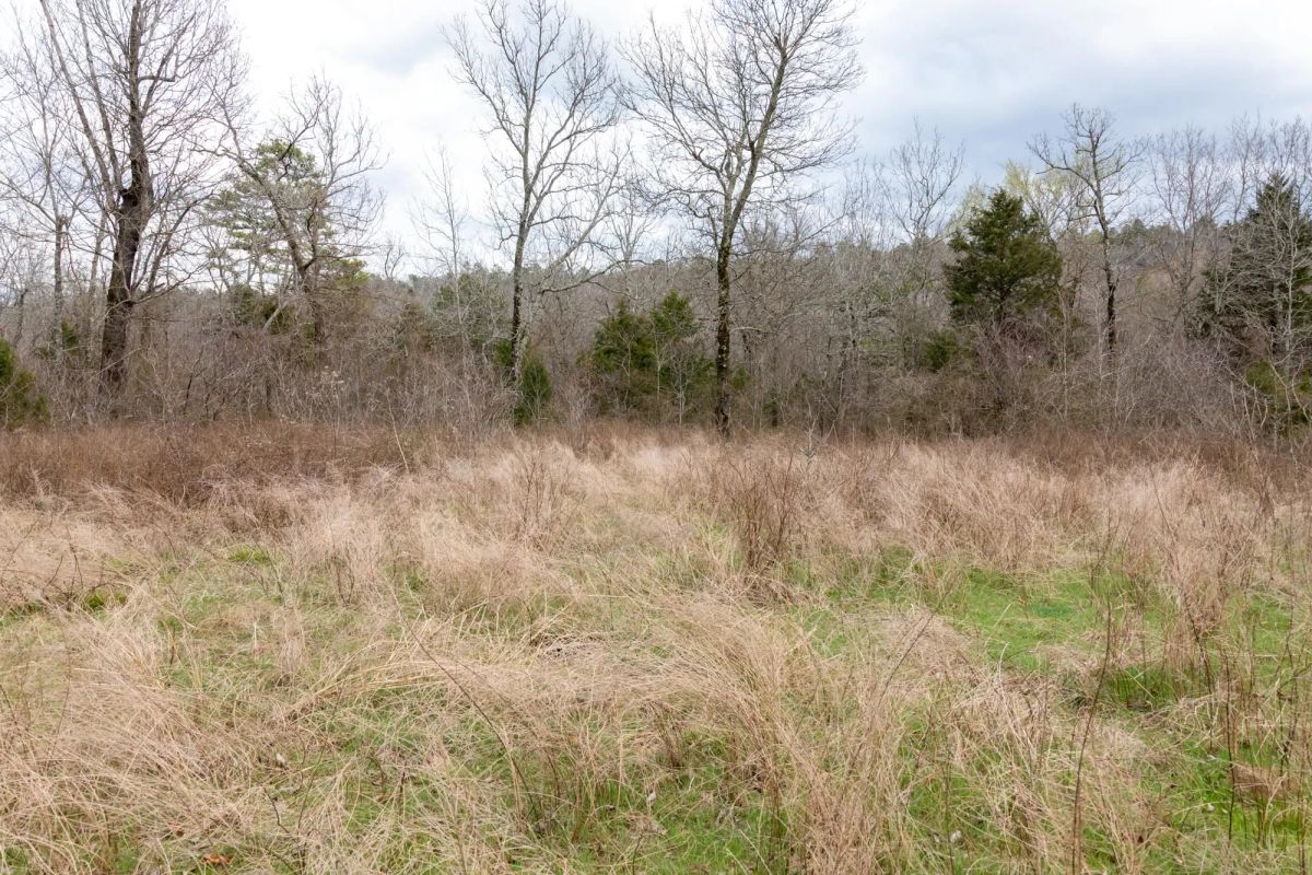 Decorative background for Stone Bridge Phase III Tract 159 image 8