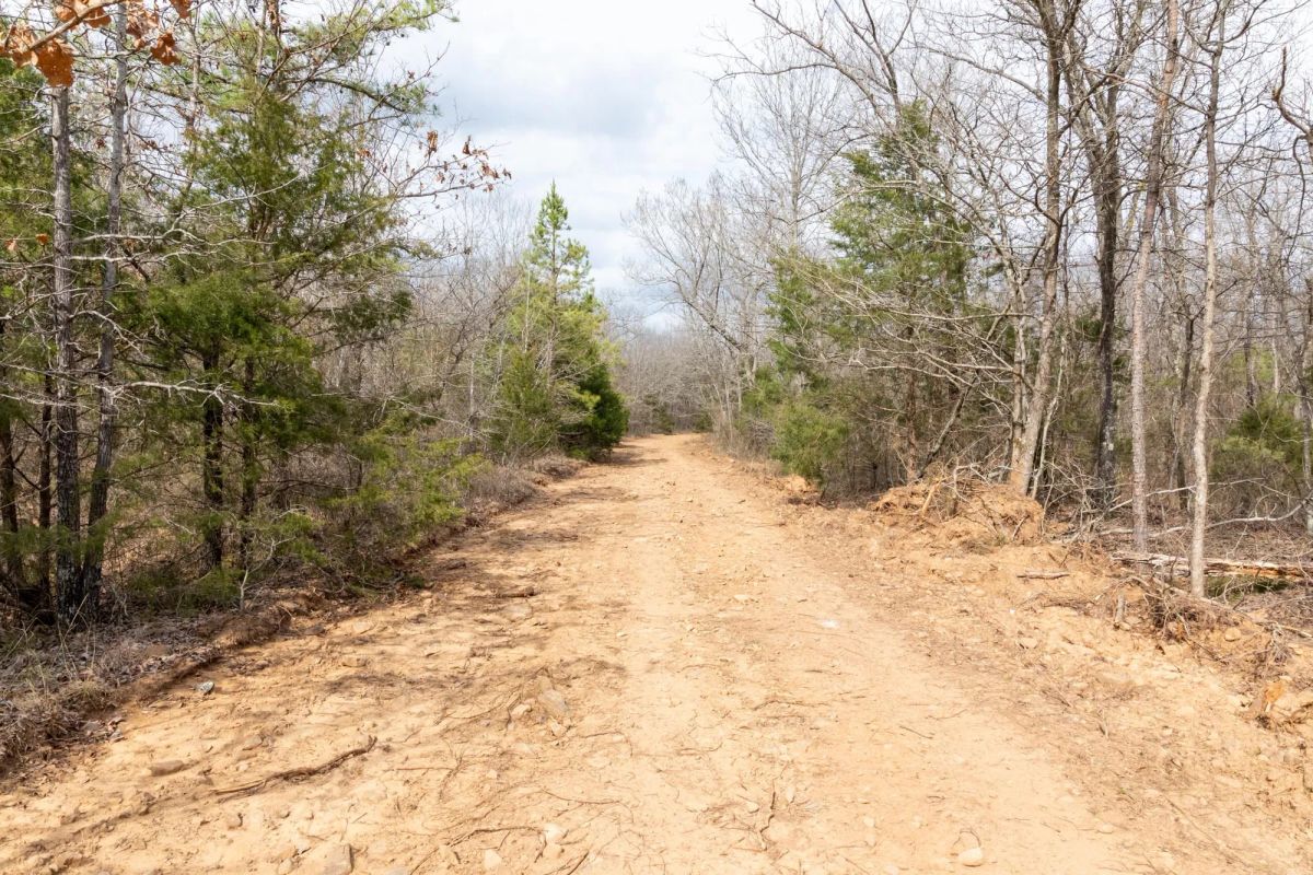 Decorative background for Stone Bridge Phase III Tract 159 image 9