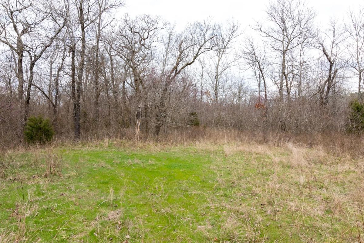 Decorative background for Stone Bridge Phase III Tract 159 image 10