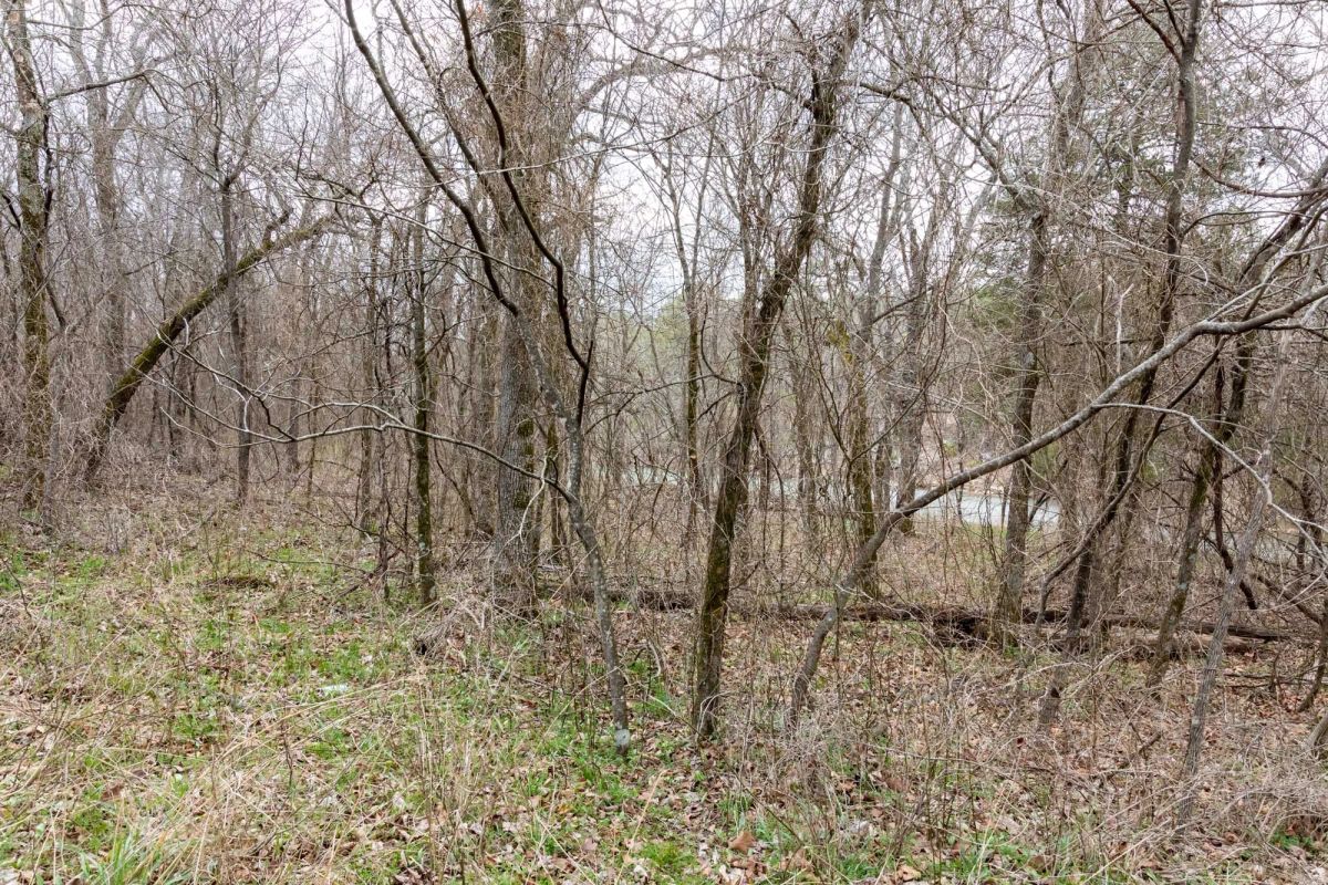 Decorative background for Stone Bridge Phase III Tract 159 image 11