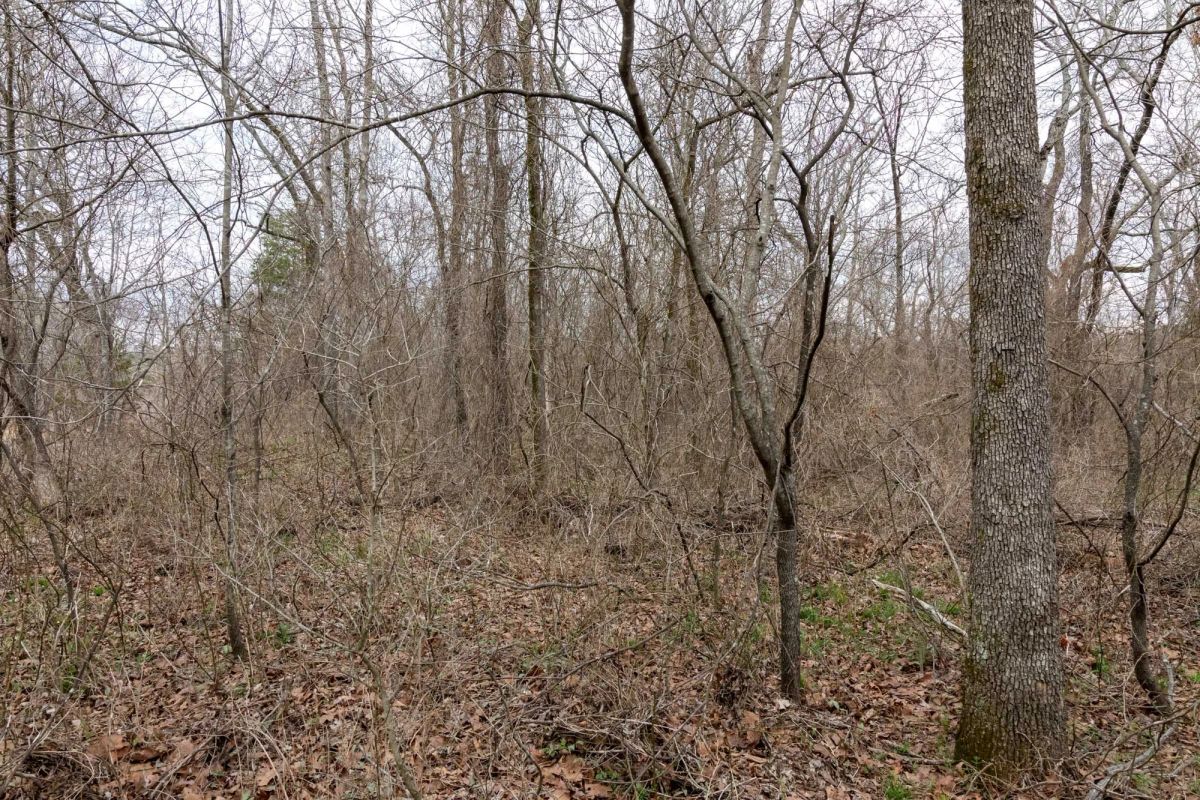 Decorative background for Stone Bridge Phase III Tract 159 image 12