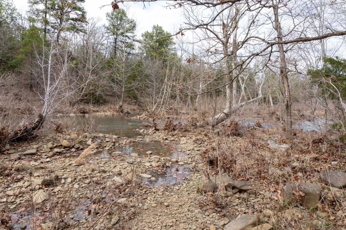 Decorative background for Stone Bridge Phase III Tract 159 image 14