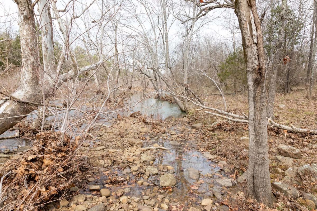 Decorative background for Stone Bridge Phase III Tract 159 image 15