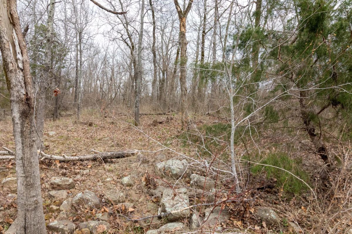 Decorative background for Stone Bridge Phase III Tract 159 image 16