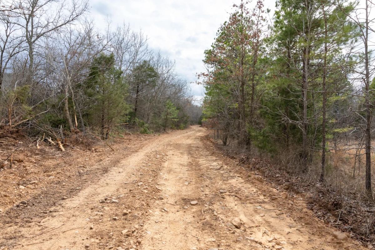 Decorative background for Stone Bridge Phase III Tract 159 image 17