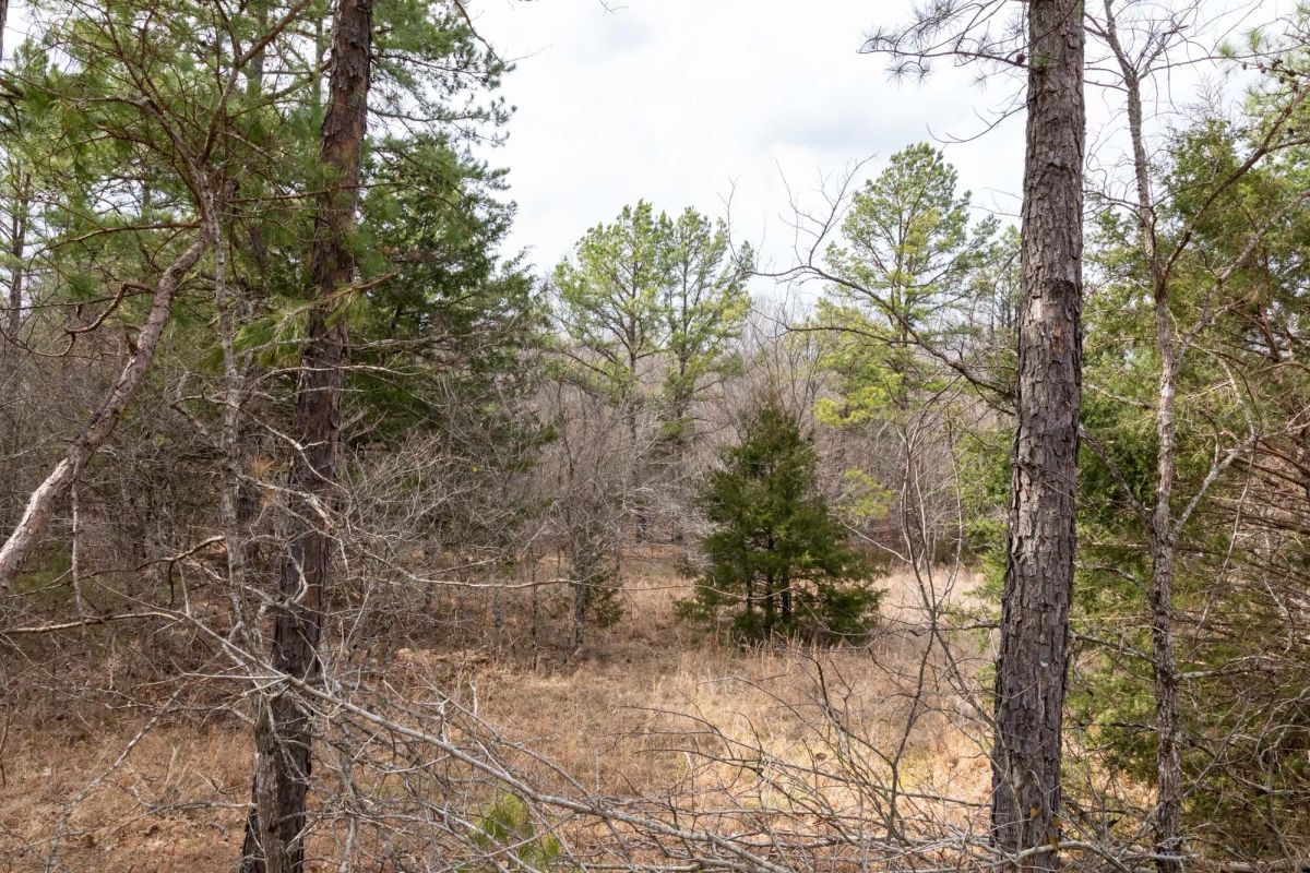 Decorative background for Stone Bridge Phase III Tract 159 image 18