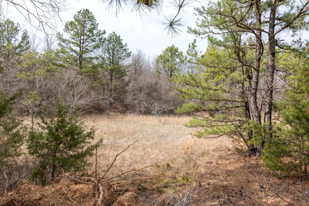 Decorative background for Stone Bridge Phase III Tract 159 image 19
