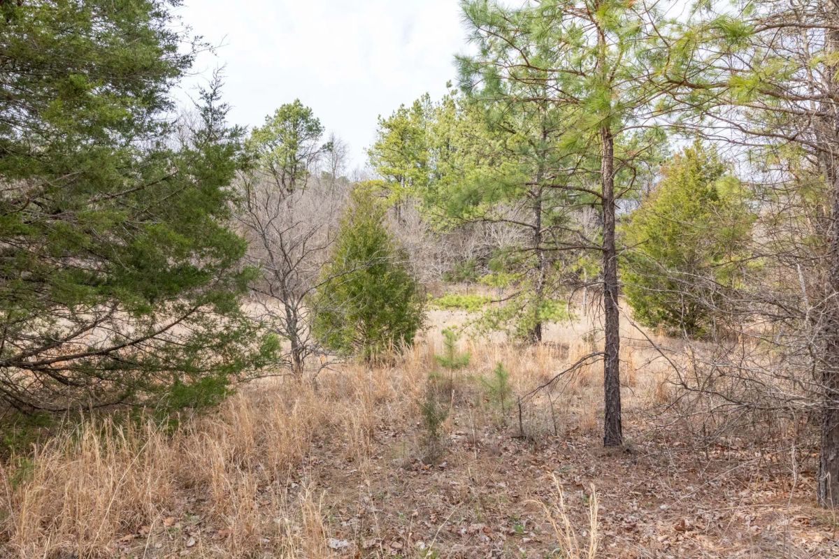 Decorative background for Stone Bridge Phase III Tract 159 image 20