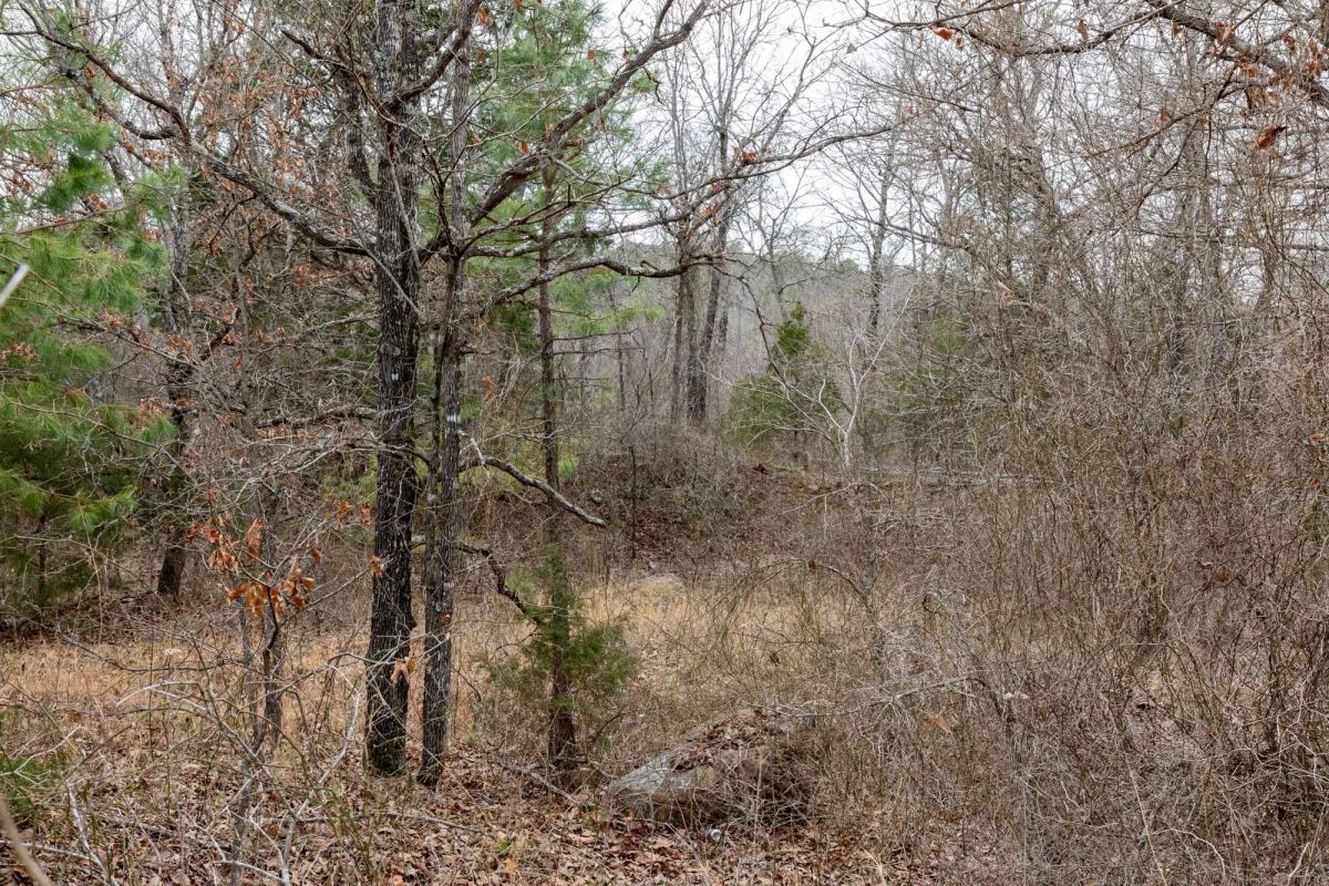 Decorative background for Stone Bridge Phase III Tract 159 image 21
