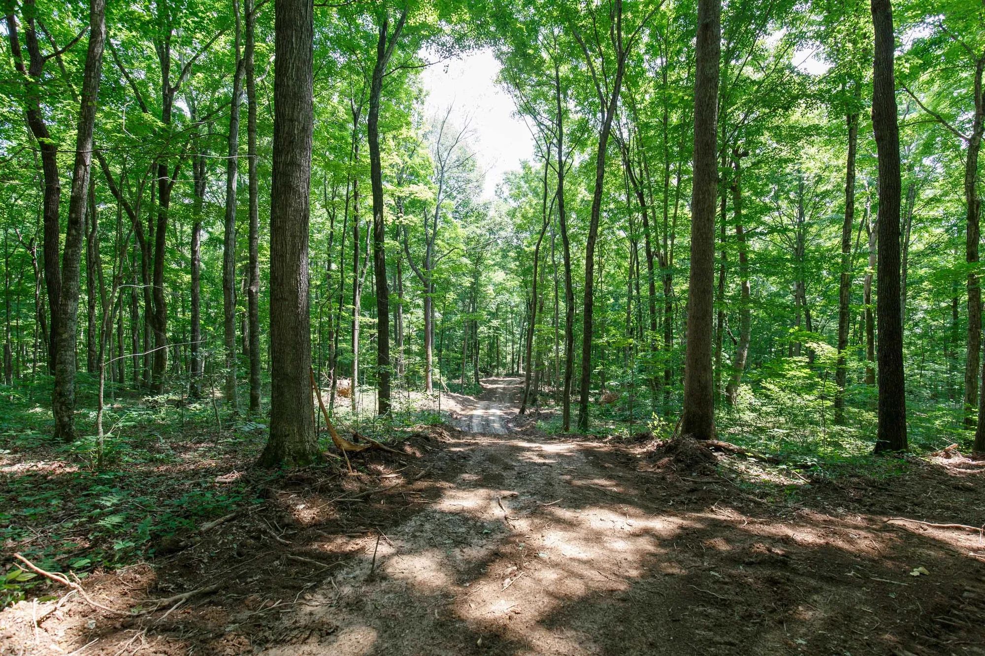 Rolling Hills Tract 10 in Wayne County, KY