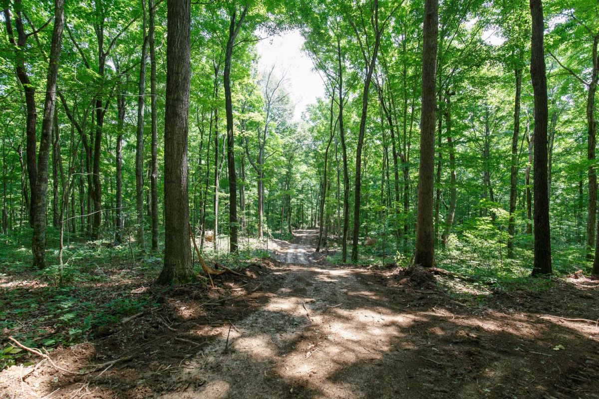 Rolling Hills Tract 10 - Main image