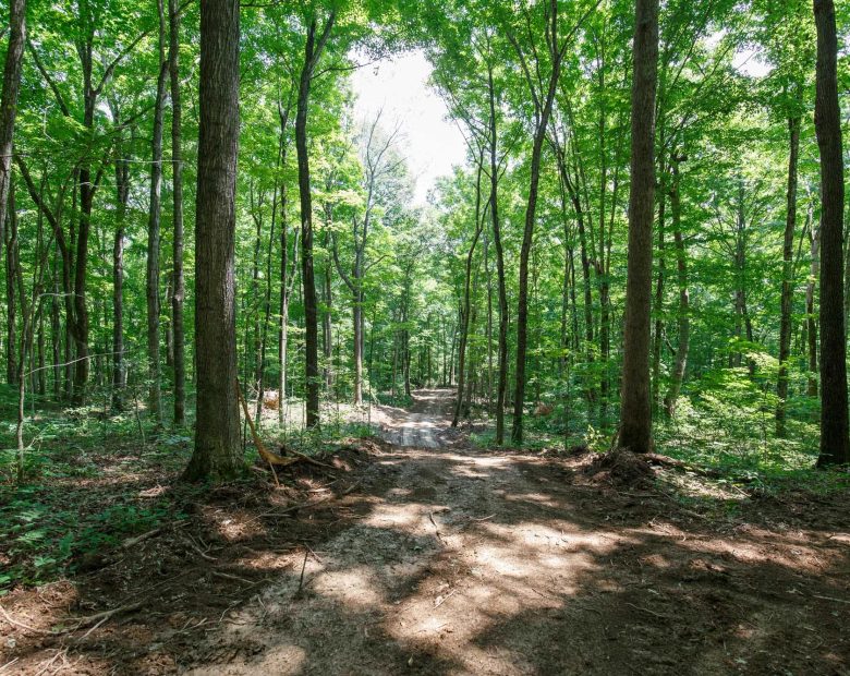 Rolling Hills Tract 10 in Wayne County, KY