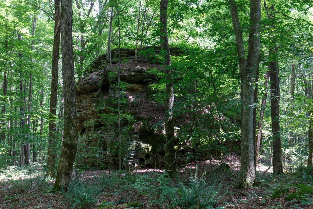 Rolling Hills Tract 10 - Image 2