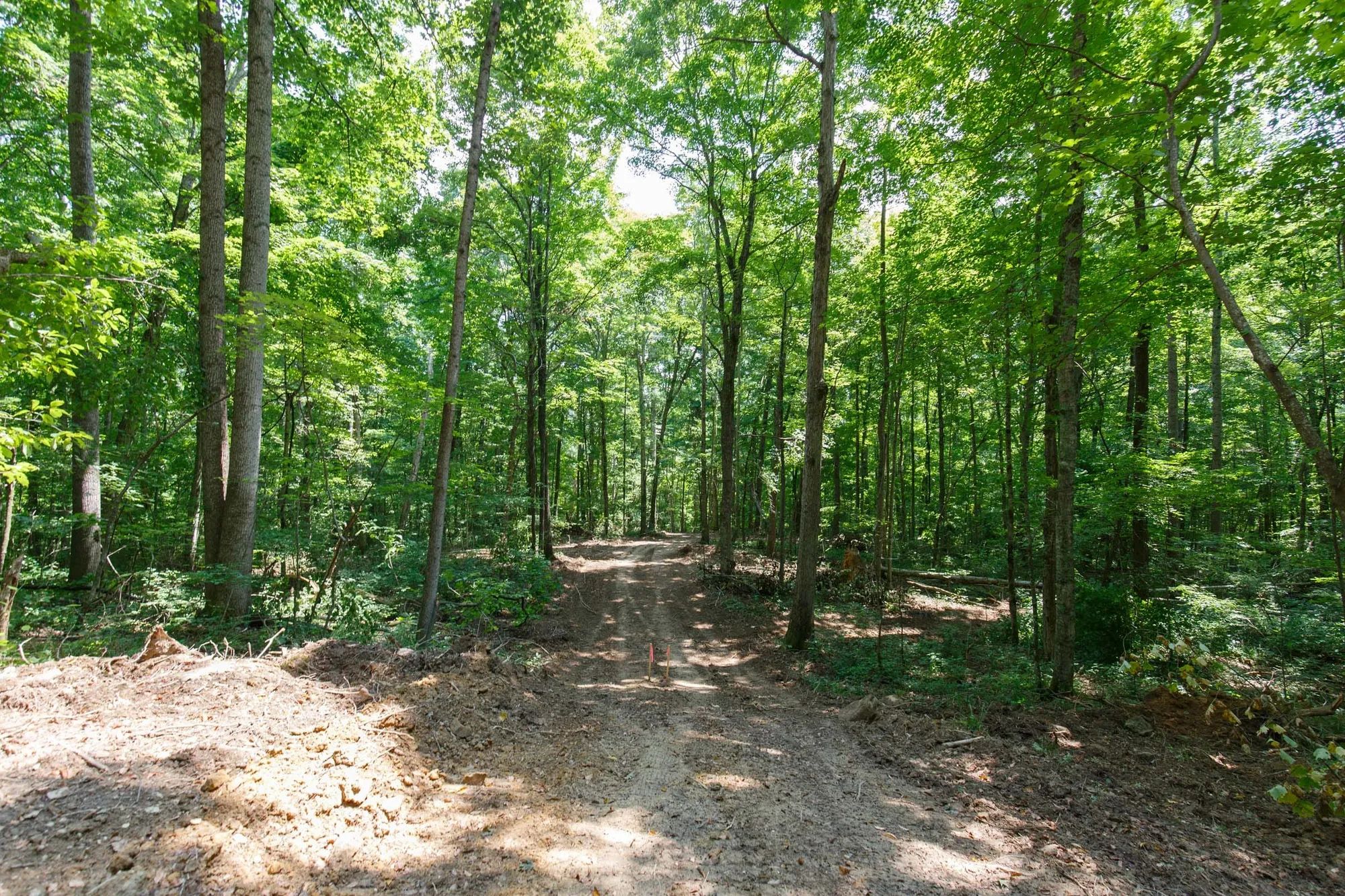 Rolling Hills Tract 10 in Wayne County, KY