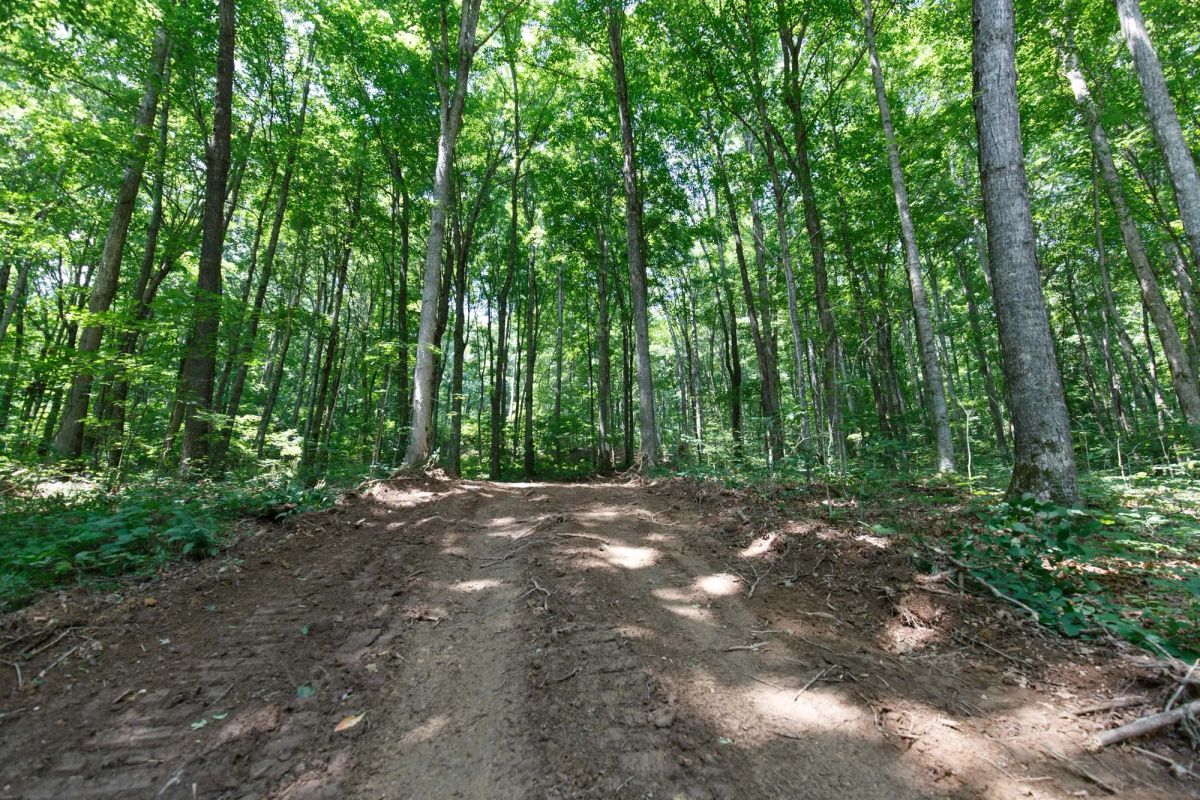 Decorative background for Rolling Hills Tract 10 image 5