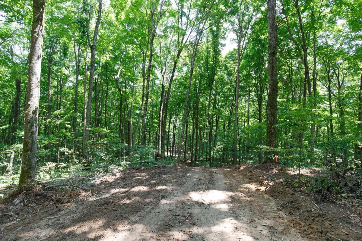 Decorative background for Rolling Hills Tract 10 image 7