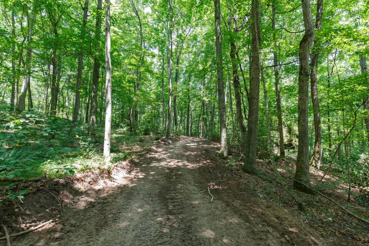 Decorative background for Rolling Hills Tract 10 image 8
