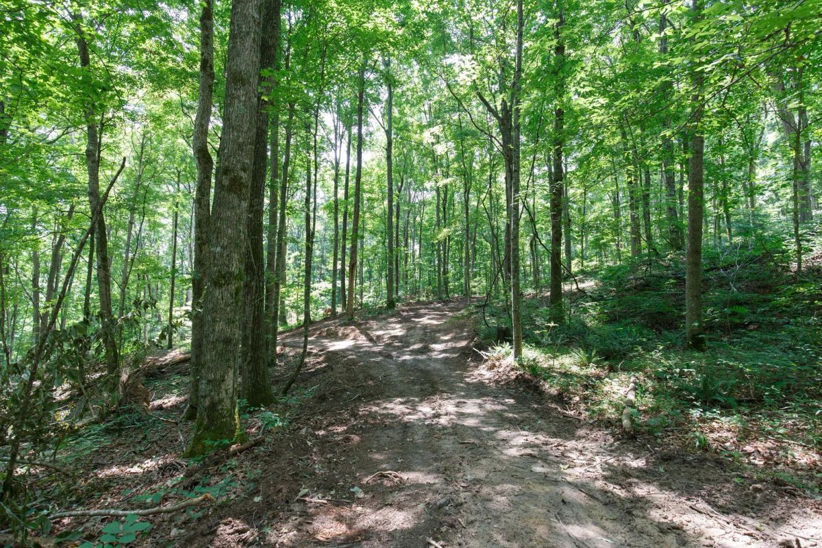 Decorative background for Rolling Hills Tract 10 image 11