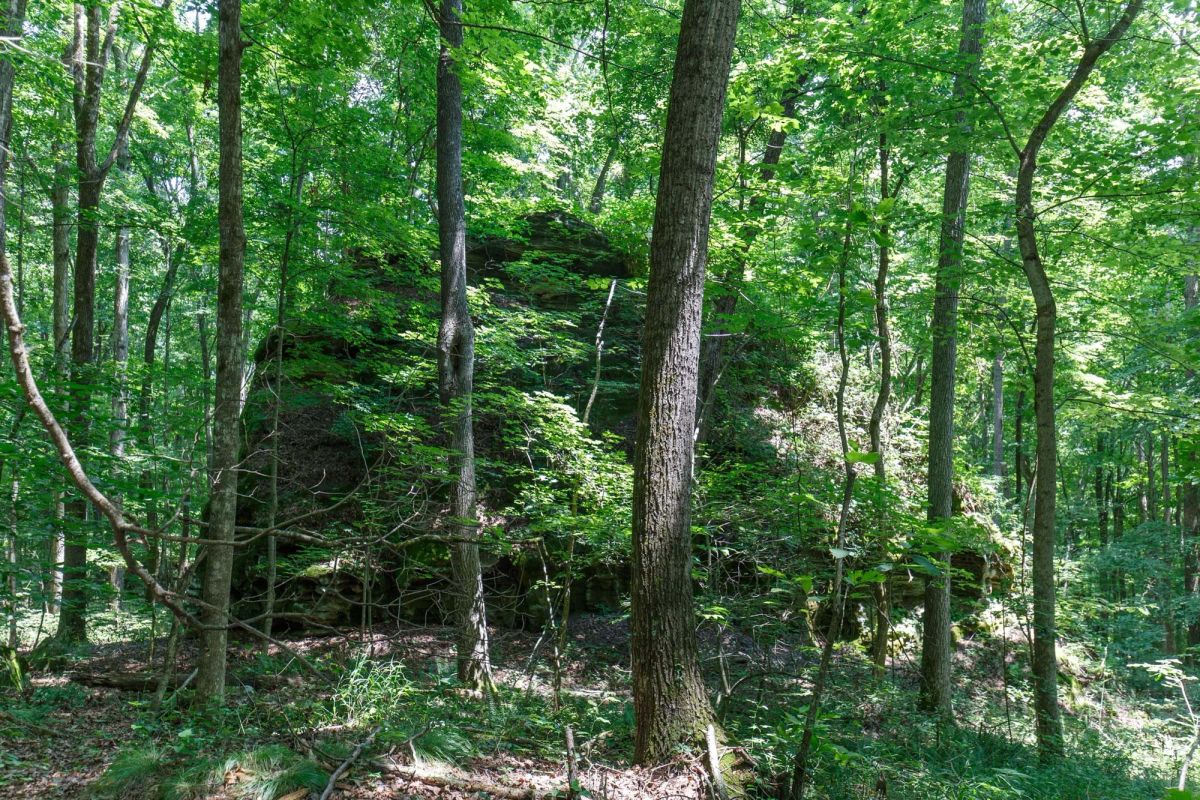 Decorative background for Rolling Hills Tract 10 image 13