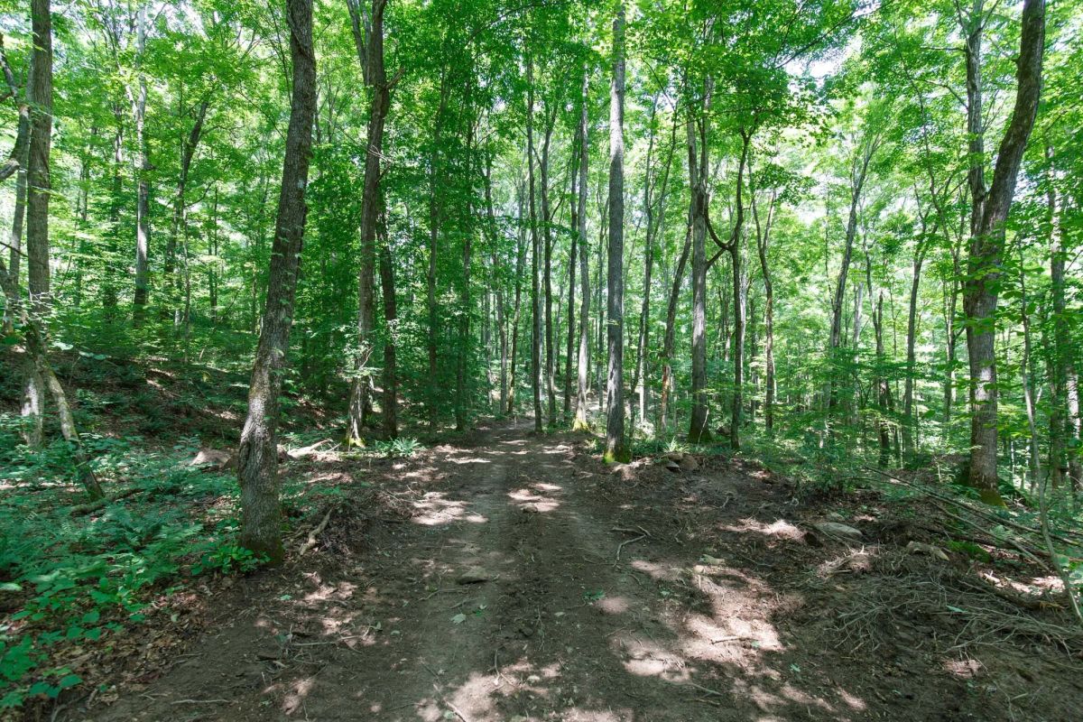 Decorative background for Rolling Hills Tract 10 image 14