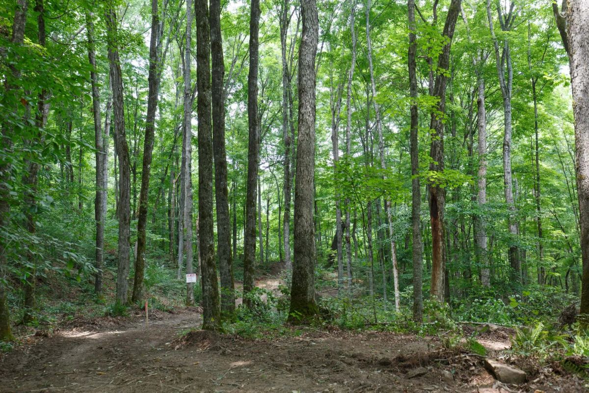 Decorative background for Rolling Hills Tract 10 image 16